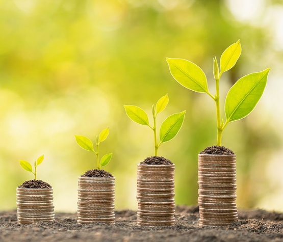 Plant sprouts growing from a stack of coins